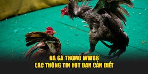 da-ga-thomo-ww88-cac-thong-tin-hot-ban-can-biet