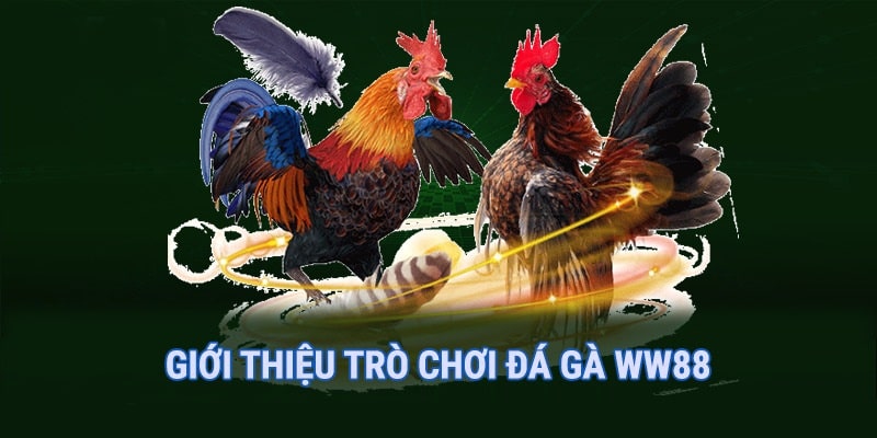 da-ga-ww88-gioi-thieu