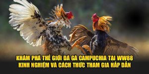 da-ga-campuchia-tai-ww88